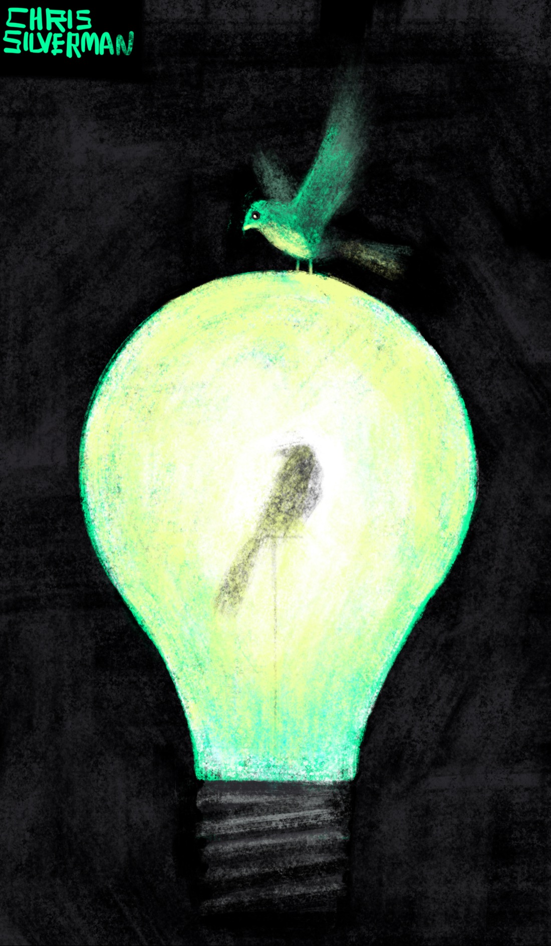 A small bird sits on a perch inside a glowing lightbulb. The perch is positioned right where the filament would normally be. The lightbulb is in a darkened space; it is the only source of light. It is glowing white, with tinges of yellow and green. Hovering on the outside of the bulb, wings spread as though it is still alighting, is a small, similarly sized bird. Its underside is a fluorescent green, reflecting light from the bulb.